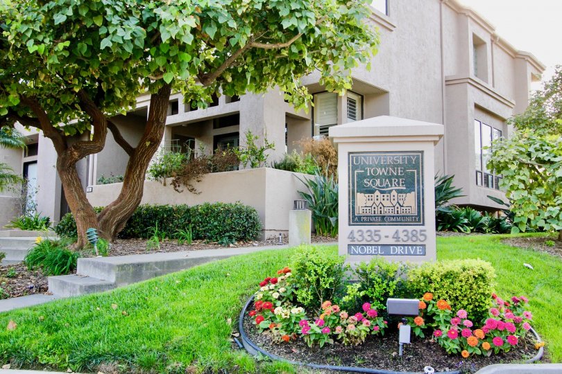 University Towne Square University City CA